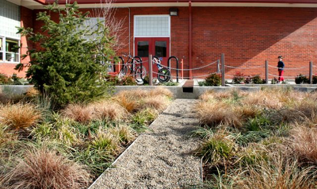 Mount Tabor Middle School Rain Garden